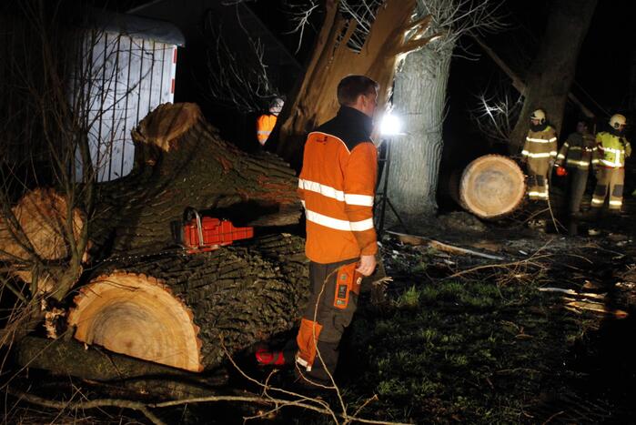 Brandweer zaagt grote boom in stukken