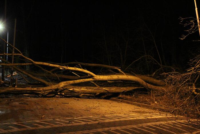 Boom blokkeert tankstation