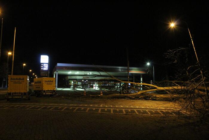 Boom blokkeert tankstation
