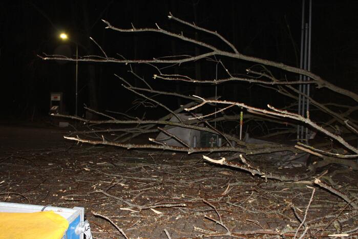 Boom blokkeert tankstation