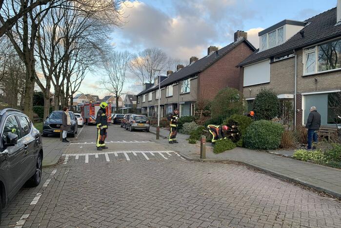 Brandweer zaagt boom om