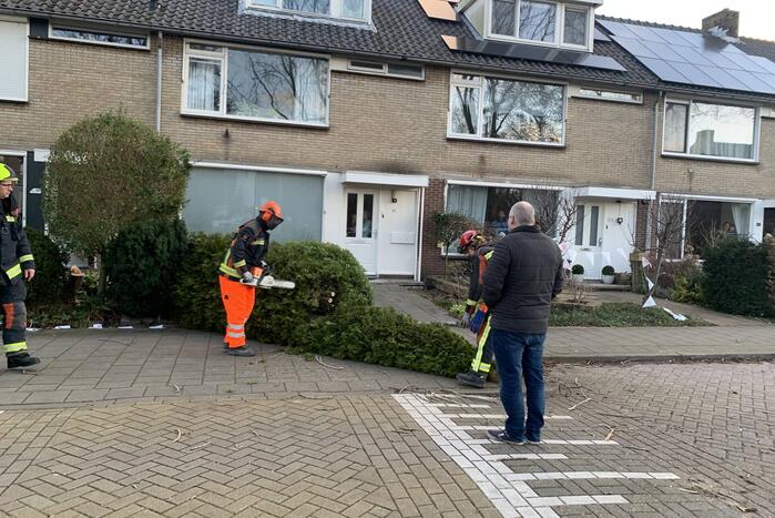 Brandweer zaagt boom om