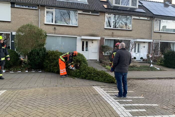 Brandweer zaagt boom om