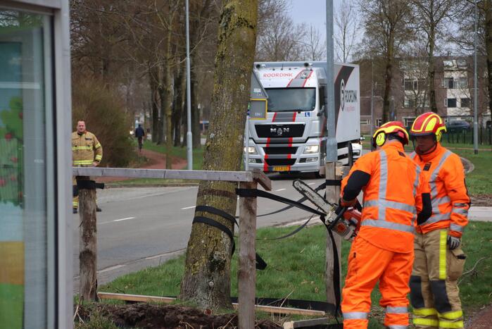 Boom na storm Eunice omgezaagd door brandweer