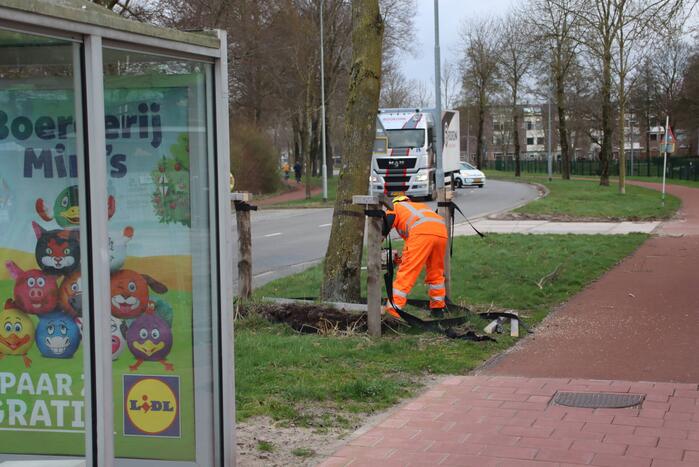 Boom na storm Eunice omgezaagd door brandweer
