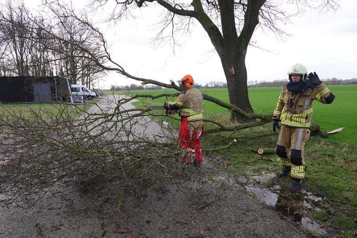 Afgebroken tak verspert de weg