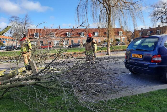 Weg verspert door een omgewaaide boom