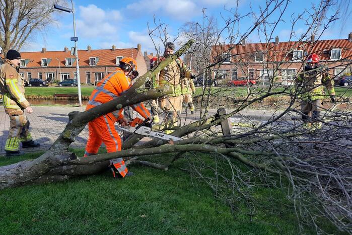 Weg verspert door een omgewaaide boom