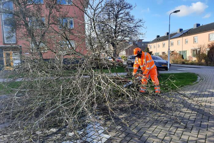 Weg verspert door een omgewaaide boom