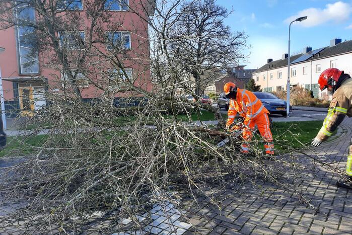 Weg verspert door een omgewaaide boom