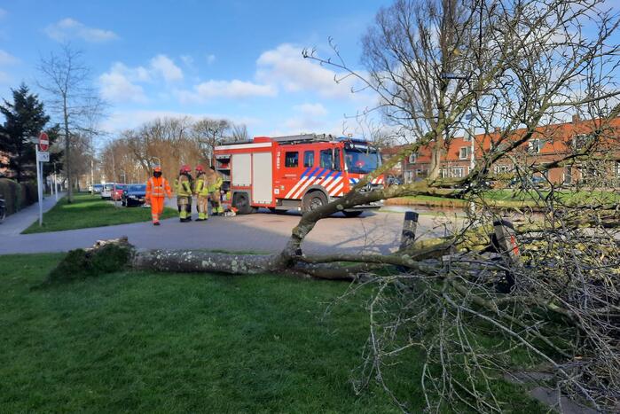 Weg verspert door een omgewaaide boom