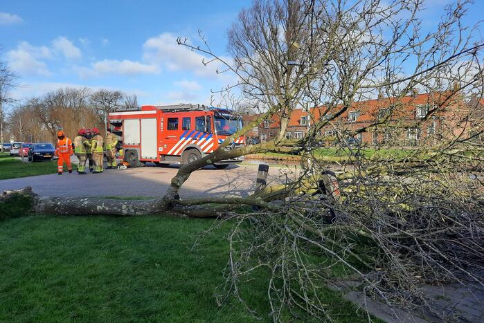 Weg verspert door een omgewaaide boom