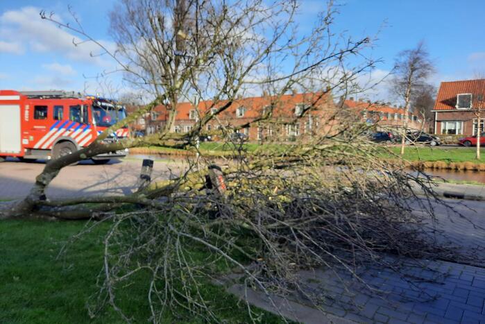Weg verspert door een omgewaaide boom