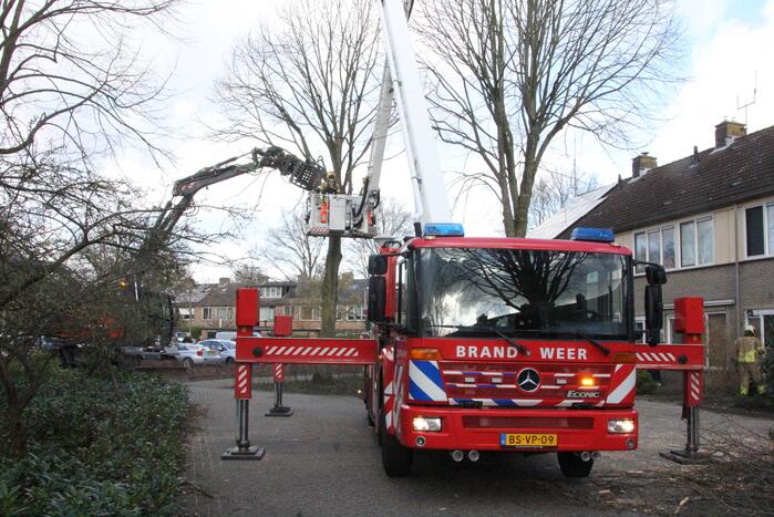 Brandweer en gemeente stellen door storm beschadigde bomen veilig
