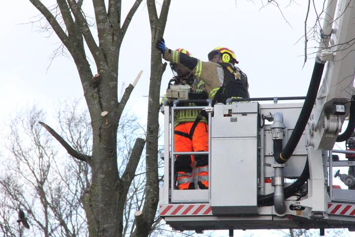 Brandweer en gemeente stellen door storm beschadigde bomen veilig