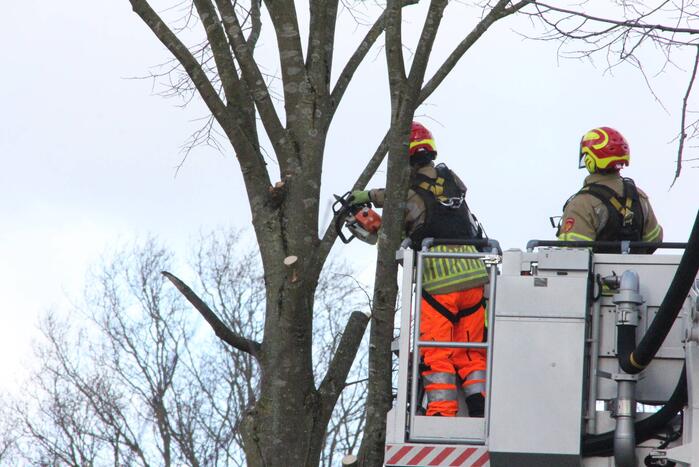 Brandweer en gemeente stellen door storm beschadigde bomen veilig