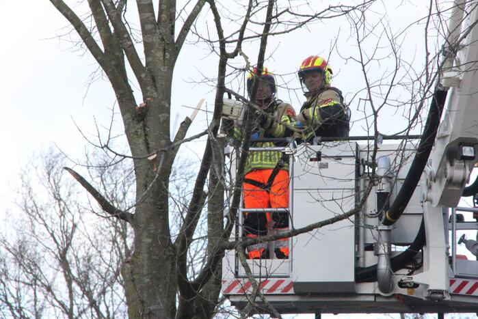 Brandweer en gemeente stellen door storm beschadigde bomen veilig