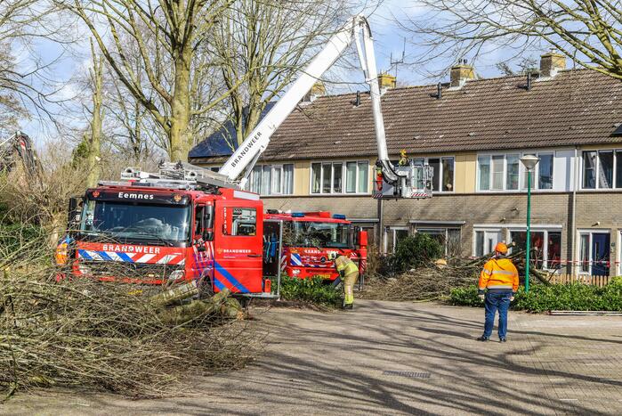 Brandweer en gemeente stellen door storm beschadigde bomen veilig