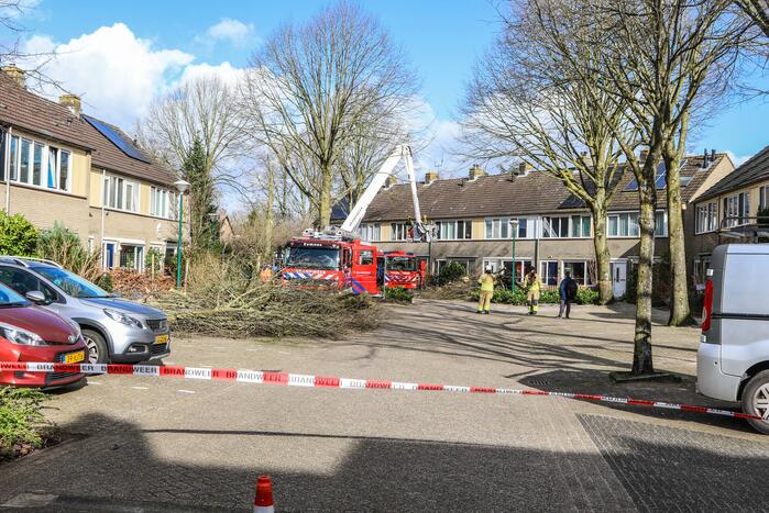 Brandweer en gemeente stellen door storm beschadigde bomen veilig