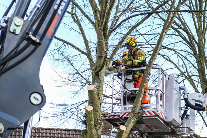 Brandweer en gemeente stellen door storm beschadigde bomen veilig