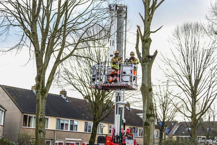Brandweer en gemeente stellen door storm beschadigde bomen veilig