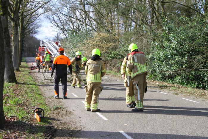 Boom dreigt op weg te vallen