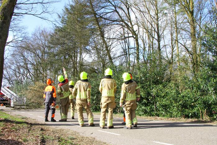 Boom dreigt op weg te vallen