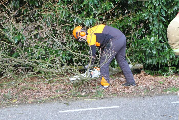 Boom dreigt op weg te vallen