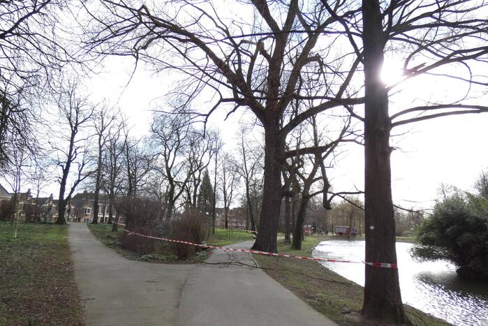 Brandweer zet gebied af vanwege gevaarlijk hangende tak