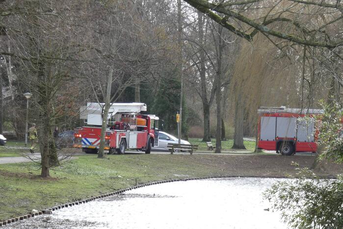 Brandweer zet gebied af vanwege gevaarlijk hangende tak