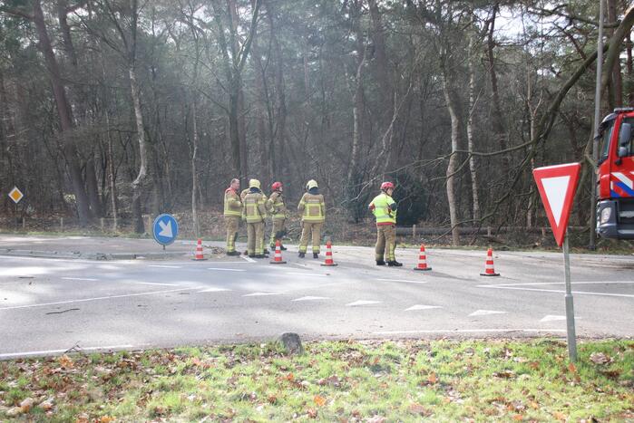 Brandweer zaagt afgebroken tak uit boom