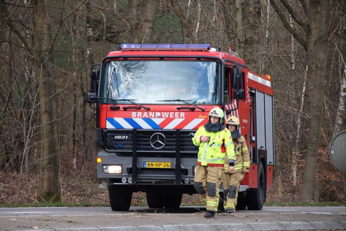 Brandweer zaagt afgebroken tak uit boom