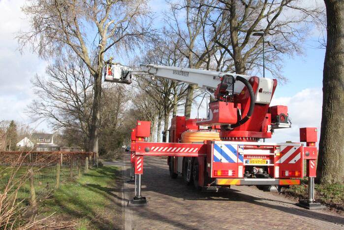 Brandweer zaagt gevaarlijk hangende tak uit boom