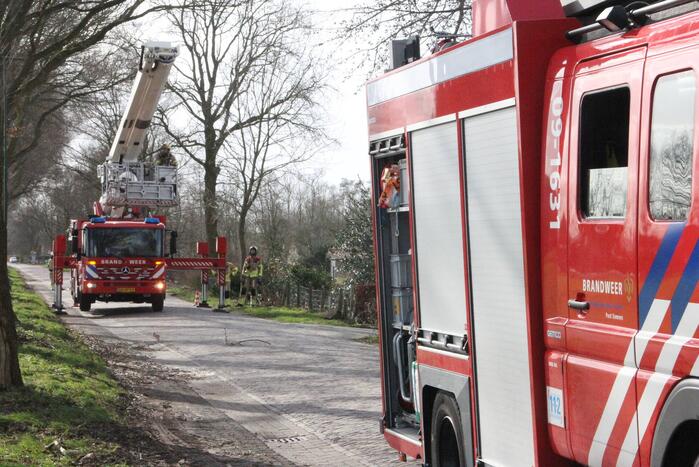 Brandweer zaagt gevaarlijk hangende tak uit boom