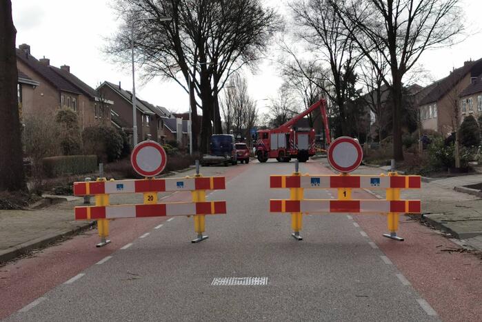 Boom dreigt op woning te vallen