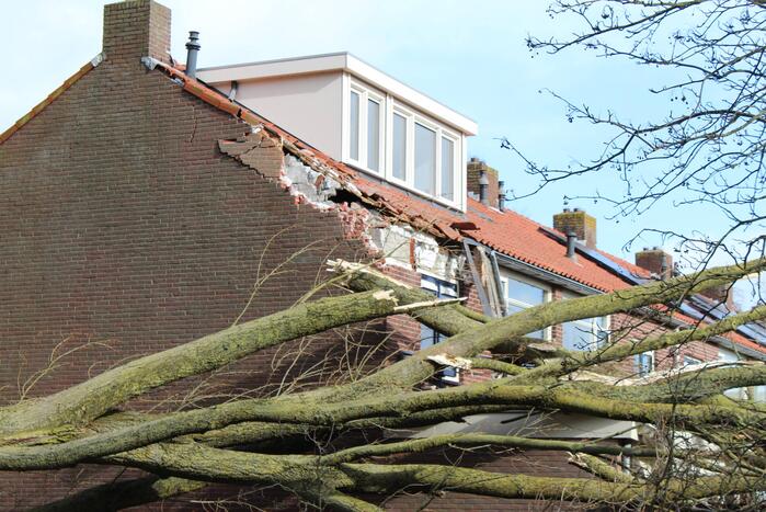 Graaf Willem II Straat Nieuws Den Helder 