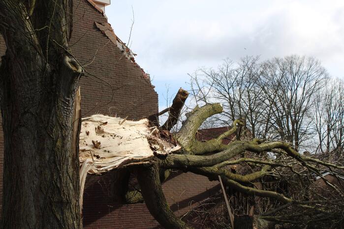 Woning zwaar beschadigd door omgewaaide boom
