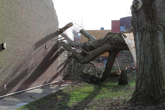 Woning zwaar beschadigd door omgewaaide boom