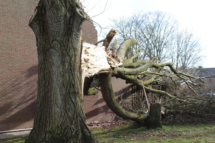 Woning zwaar beschadigd door omgewaaide boom