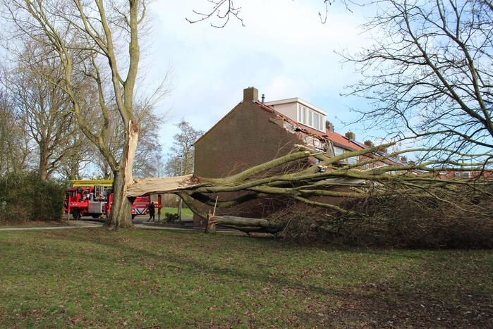 Woning zwaar beschadigd door omgewaaide boom