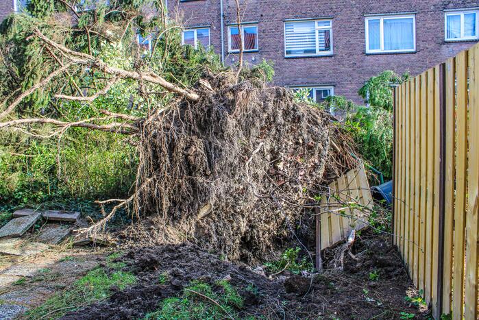 Schade door omgewaaide boom