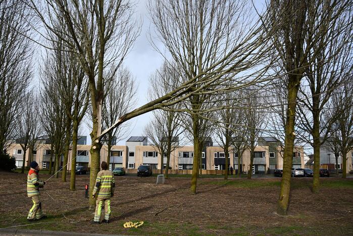 Gevaarlijk hangend deel van boom verwijderd door brandweer