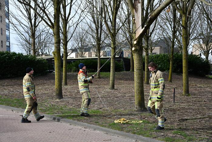 Gevaarlijk hangend deel van boom verwijderd door brandweer