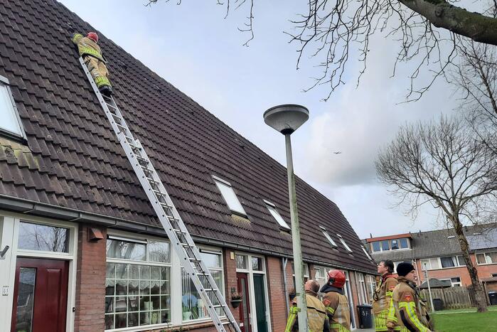 Brandweer plaatst dakpannen terug op woning