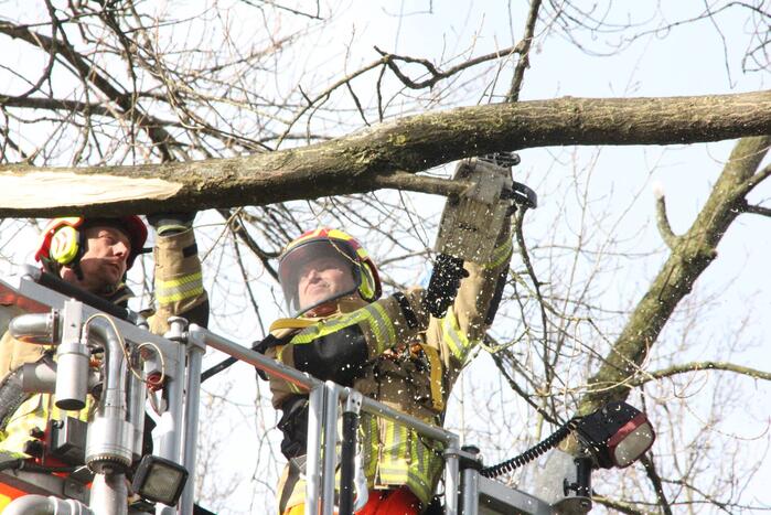 Brandweer verwijdert gevaarlijke hangende takken van bomen
