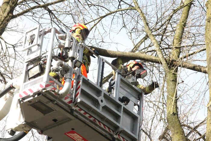 Brandweer verwijdert gevaarlijke hangende takken van bomen
