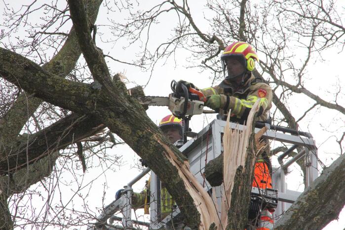 Brandweer verwijdert gevaarlijke hangende takken van bomen