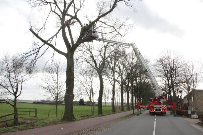 Brandweer verwijdert gevaarlijke hangende takken van bomen