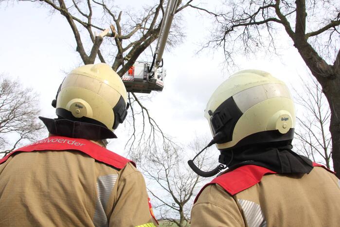 Brandweer verwijdert gevaarlijke hangende takken van bomen