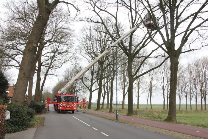 Brandweer verwijdert gevaarlijke hangende takken van bomen